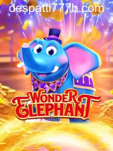 WonderElephant